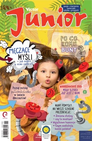 Victor Junior 11/2023