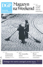 Dziennik Gazeta Prawna 209/2023