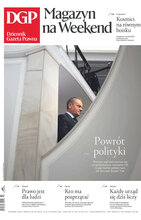 Dziennik Gazeta Prawna 228/2023