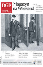 Dziennik Gazeta Prawna 238/2023