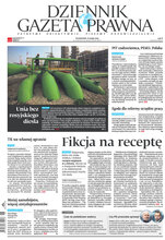 Dziennik Gazeta Prawna 25/2023