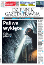 Dziennik Gazeta Prawna 29/2023