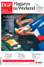 Dziennik Gazeta Prawna 174/2023