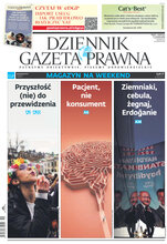 Dziennik Gazeta Prawna 91/2023