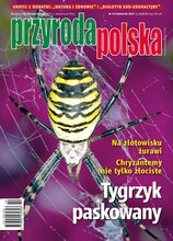 Przyroda Polska 10/2023