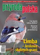 Przyroda Polska 11/2023