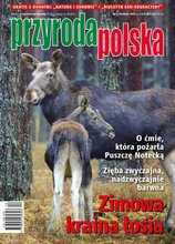 Przyroda Polska 12/2023
