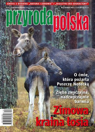 Przyroda Polska 12/2023
