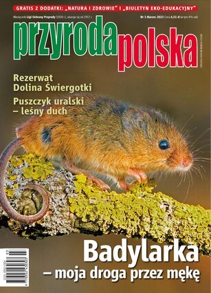 Przyroda Polska 3/2023