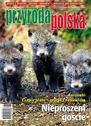 Przyroda Polska 8/2023