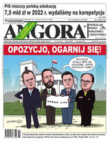 Angora 14/2023