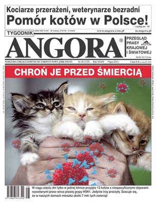 Angora 28/2023