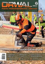 Drwal 6/2023