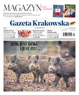 Gazeta Krakowska 256/2023