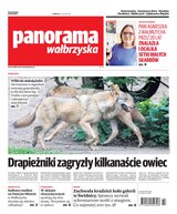 Panorama Wałbrzyska 13/2023