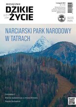 Dzikie Życie 11/2023