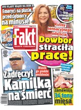 Fakt 106/2023