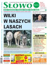 Słowo Regionu Strzelińskiego 26/2023