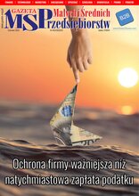 Gazeta Małych i Średnich Przedsiębiorstw 6/2023