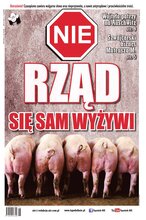NIE 18/2023