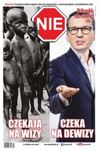 NIE 38/2023