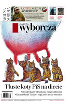Gazeta Wyborcza Zielona Góra i Gorzów Wielkopolski 22/2024