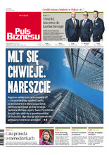 Puls Biznesu 117/2024