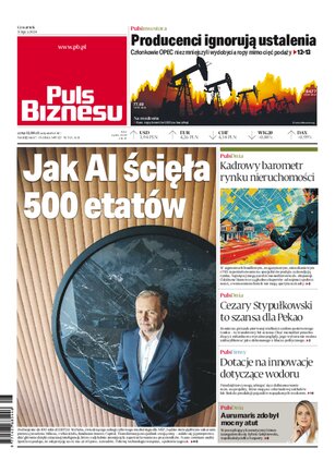 Puls Biznesu 132/2024