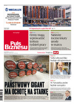 Puls Biznesu 45/2024