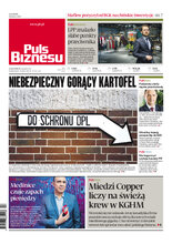 Puls Biznesu 63/2024