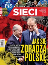 Sieci 28/2024