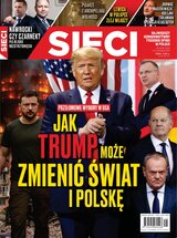 Sieci 45/2024