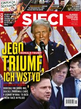 Sieci 46/2024