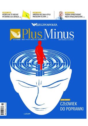 Rzeczpospolita 162/2024