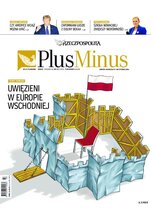 Rzeczpospolita 22/2024