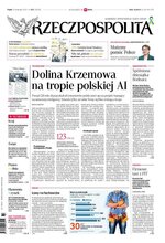 Rzeczpospolita 272/2024