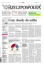 Rzeczpospolita 293/2024