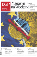Dziennik Gazeta Prawna 110/2024