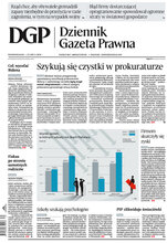 Dziennik Gazeta Prawna 141/2024