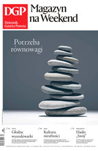 Dziennik Gazeta Prawna 164/2024