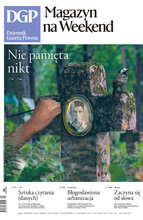Dziennik Gazeta Prawna 213/2024