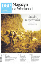 Dziennik Gazeta Prawna 227/2024