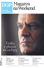 Dziennik Gazeta Prawna 242/2024