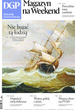 Dziennik Gazeta Prawna 9/2024