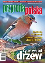 Przyroda Polska 10/2024