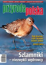 Przyroda Polska 11/2024