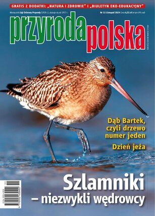 Przyroda Polska 11/2024