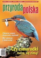 Przyroda Polska 12/2024