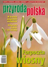 Przyroda Polska 3/2024