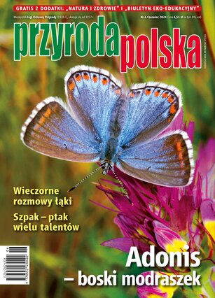 Przyroda Polska 6/2024